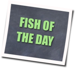 Fish of the Day